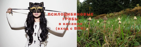 mix Пересвет